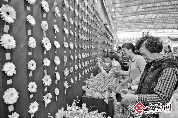 云南农产品扫二维码可实现全程监控“农田到餐桌”