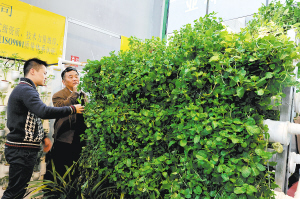 阿里巴巴愿与云南共建展销平台