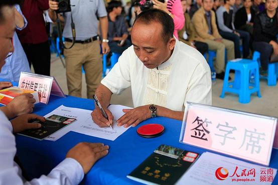 云南在全国率先颁发《林木木权证》(图)
