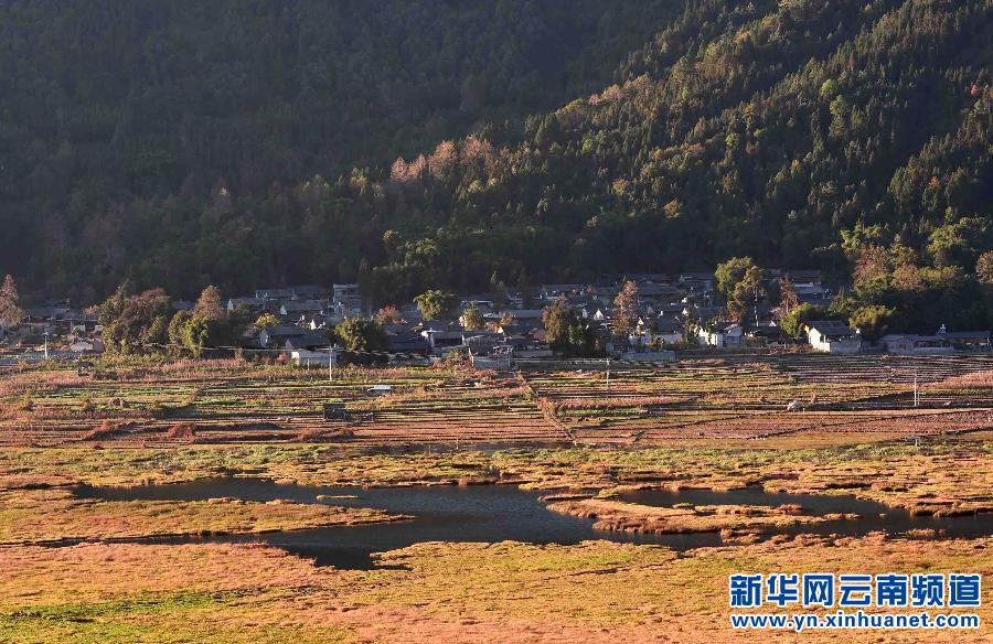 草丰水美的云南北海湿地