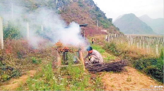 云南女孩患地中海贫血 父亲自学本草纲目烟熏治疗
