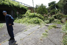 Strong quake jolts E Japan, 60 injured