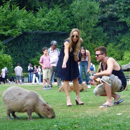 Leona Lewis goes on zoo date