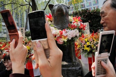 驻阿英军防暴犬因主人阵亡伤心致死 曾搭档救命无数