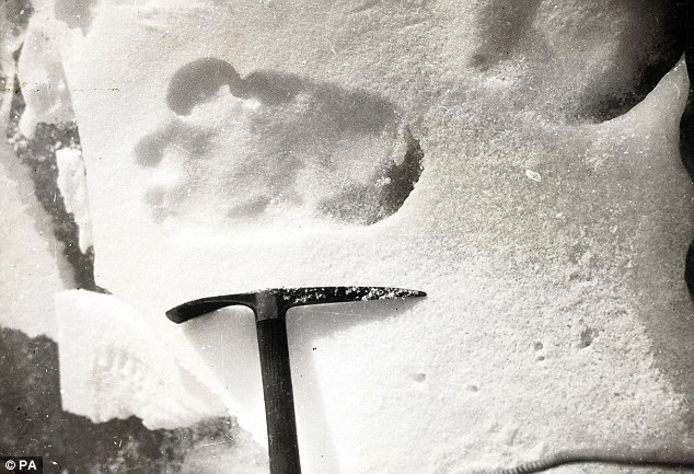 俄官方称发现雪人存在“确凿证据” 质疑者斥为炒作