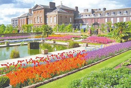 英王室有望双喜临门 凯特被传有喜、小夫妇后年迁新居