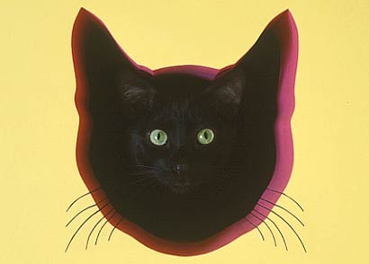 世界上最豪华的猫宅(组图)