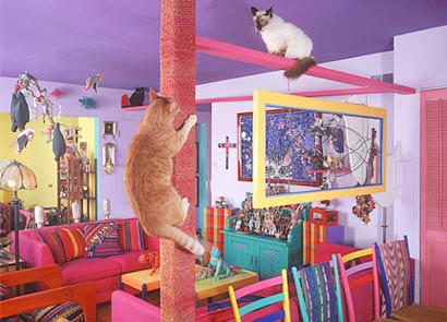 世界上最豪华的猫宅(组图)