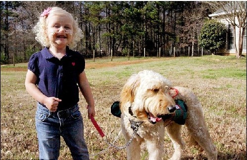 服务犬背氧气瓶随时陪伴 病重女孩享自由生活