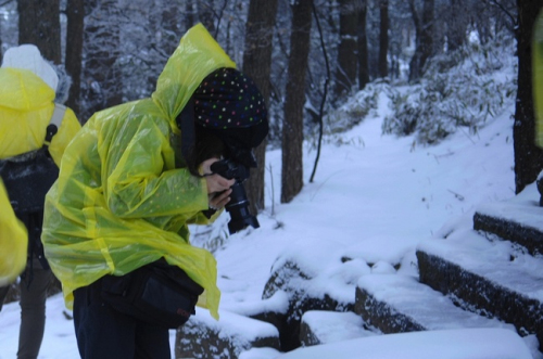 安徽黄山风景区迎降入冬首场盛雪 惊羡拍雪客
