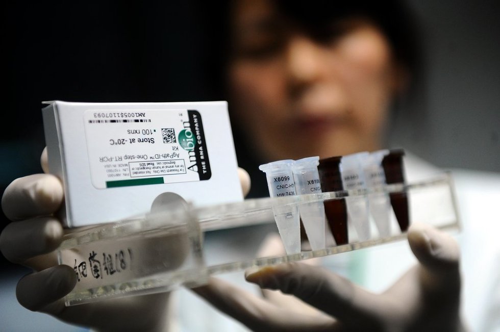 组图：中国多地备战H7N9禽流感