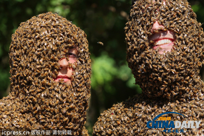 耳朵拔河、叼猪蹄、咬龙虾 看各国另类民间比赛（组图）