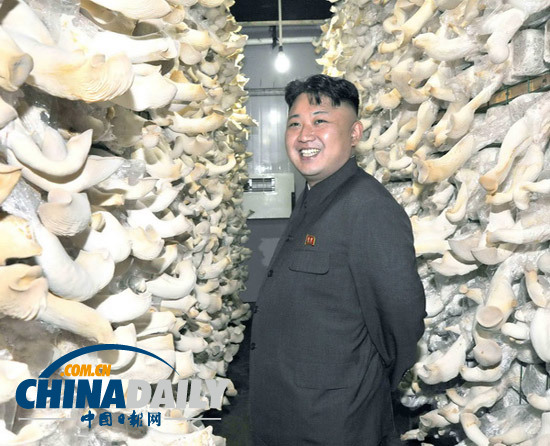 金正恩向部队送现代化捕鱼工具 希望军人多吃新鲜鱼