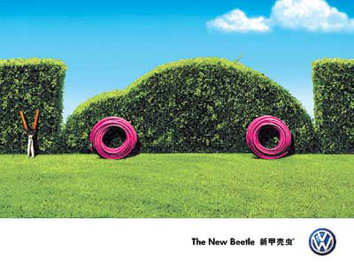 Beetles everywhere