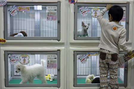 Pet Expo 2007