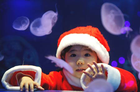 Christmas Aquarium in Tokyo