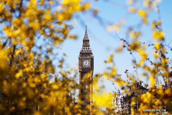 Northern hemisphere embraces flourishing spring flowers