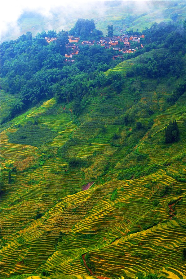 省市风景