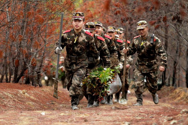 Soldiers and trees