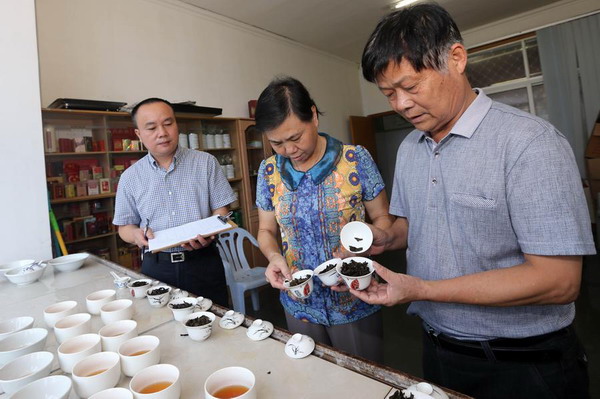 A taste of Wuyishan's tea culture