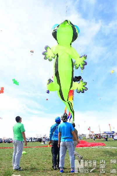 Kites fly high over grassland
