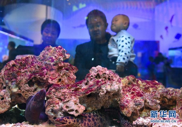 Museum brings science to life for Hohhot children