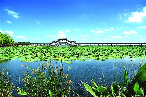Enjoying the lotus flowers of Kunshan