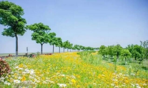 Encounter a flowery Zhangjiagang in spring