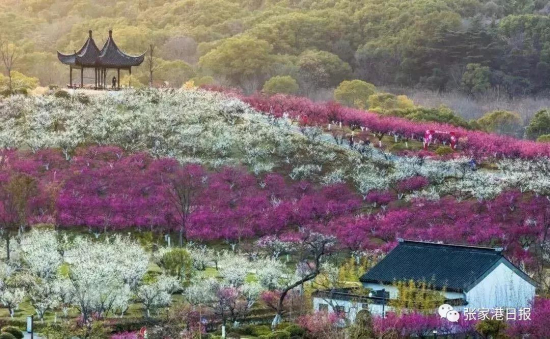 Ways to celebrate Spring Festival in Zhangjiagang