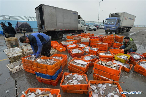 In pics: Winter fishing in China's Shandong