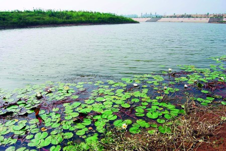 莲花湖湿地公园