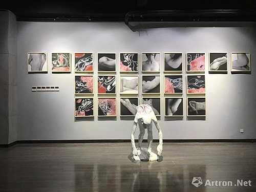 Sino-Japanese art exhibition awakens reflection on life