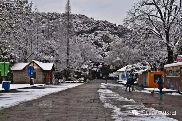 Savor snowy fairyland in Sheshan