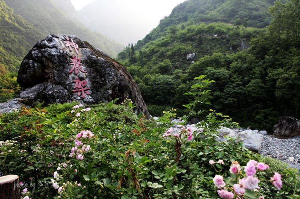 Shennongjia Nature Reserve