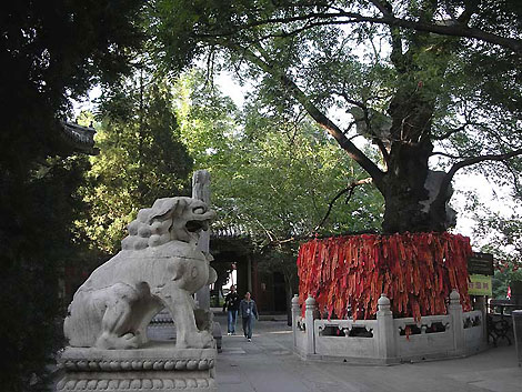The Jietai Temple (Jie Tai Si)