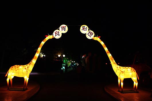 The New Year Fair at Longtan Lake (Long Tan Hu)