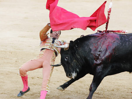 Spanish bullfighter Jose Prados "El Fundi" is tossed by a bull during a bullfight at Pamplona's bullring during the San Fermin festival July 9, 2006. A pack of fighting bulls run through the centre of the town to the bullring every morning during the week-long festival made famous by U.S. writer Ernest Hemingway. [Reuters]