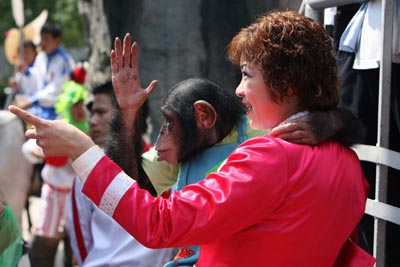 ,,animal olympics,,shanghai wild animal park,,,