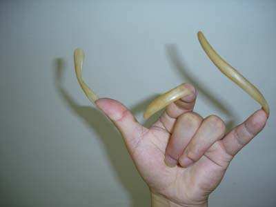 12-centimeter-long nail
