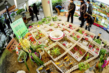 'Happy farms' introduced into real life in NE China