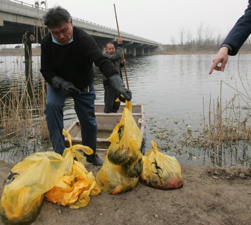 Bodies of babies found in river in Shandong