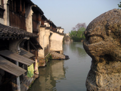 Smell the spring flowers of Wuzhen