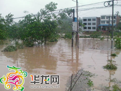 Strong gales, heavy rain hit Chongqing