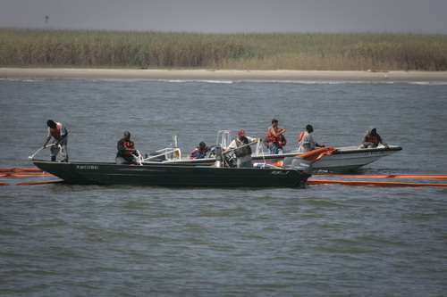Various efforts to deal with oil disaster