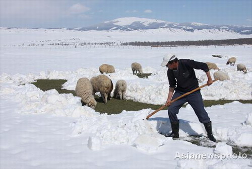 Early summer snowscape in Xinjiang