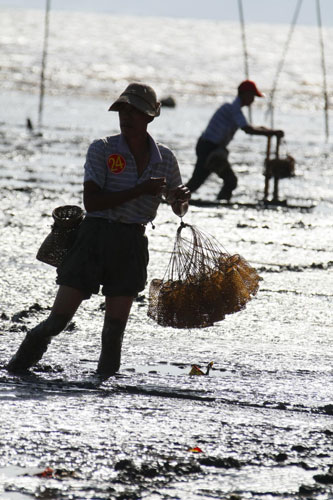 Anglers show off mudfishing skills in Guangdong