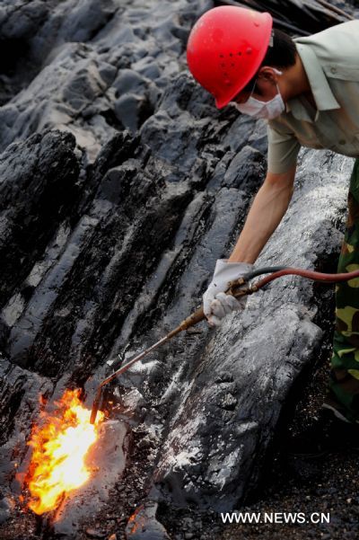 Reefs cleaned after Dalian oil spill