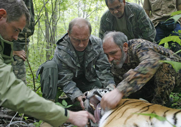 Leaders in bid to save the tiger