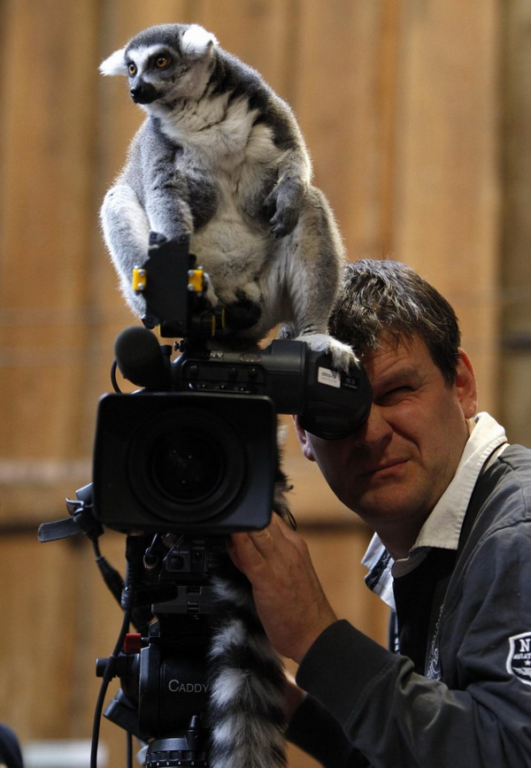Time for a census at Hamburg zoo