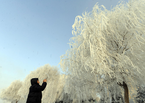 Rime-covered city tells fairyland tale